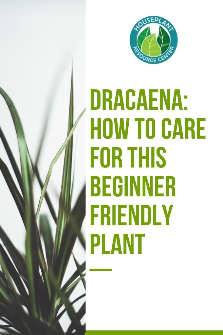 Copy of Copy of Share Webinar and Save 20 on Course