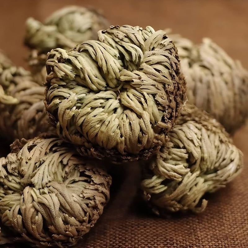 Watch the Magic Unfold