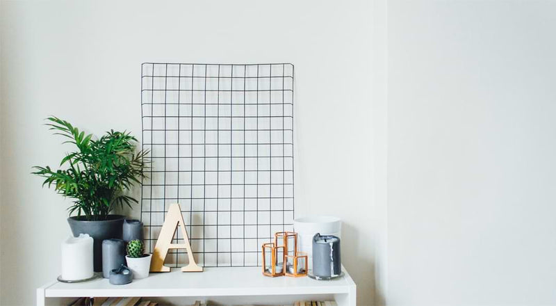 Top Plants for the Feng Shui Curious