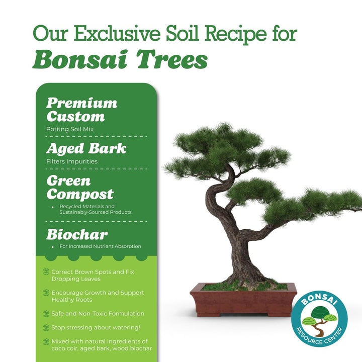 100% Organic Bonsai, Succulent, Cactus Soil Mix — Nutrient Rich, Well-Draining Living Soil Blend | 6.55 quarts