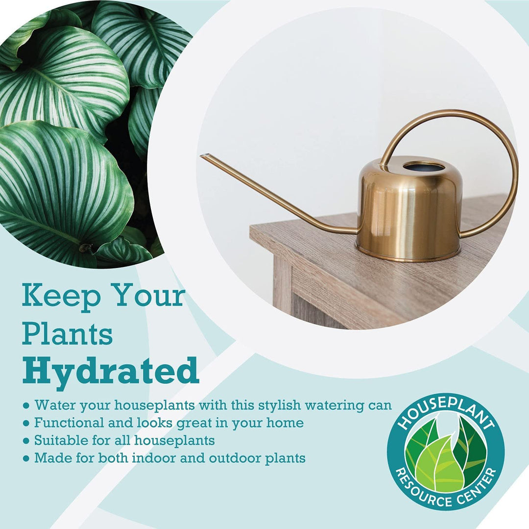 Stainless Steel Watering Can for Houseplants | 1L Capacity