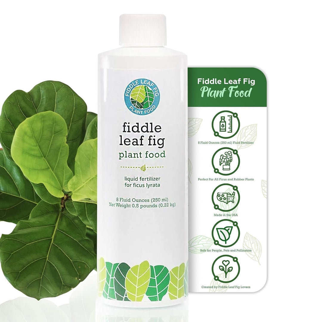 Fiddle Leaf Fig Plant Food – 3‑1‑2 Balanced NPK Liquid Fertilizer for Larger Leaves, Stronger Roots & Steady, Vibrant Growth | Suitable for All Ficus Including Ficus Lyrata | Made in USA | 8 oz