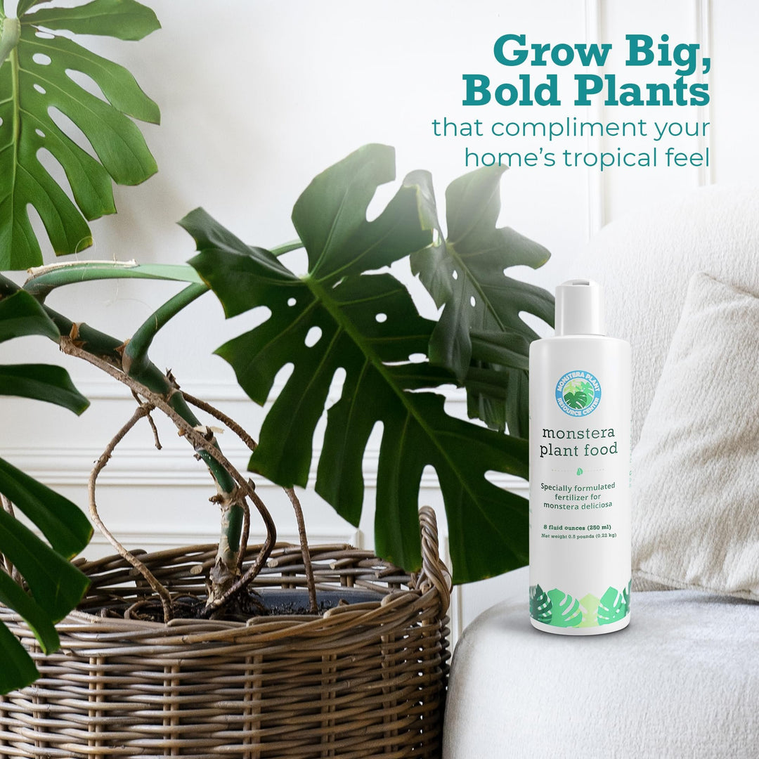 Monstera Plant Food – Enriched, Bioavailable Liquid Fertilizer | 8 oz