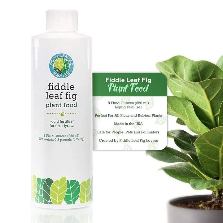 Fiddle Leaf Fig Plant Food – 3‑1‑2 Balanced NPK Liquid Fertilizer for Larger Leaves, Stronger Roots & Steady, Vibrant Growth | Suitable for All Ficus Including Ficus Lyrata | Made in USA | 8 oz