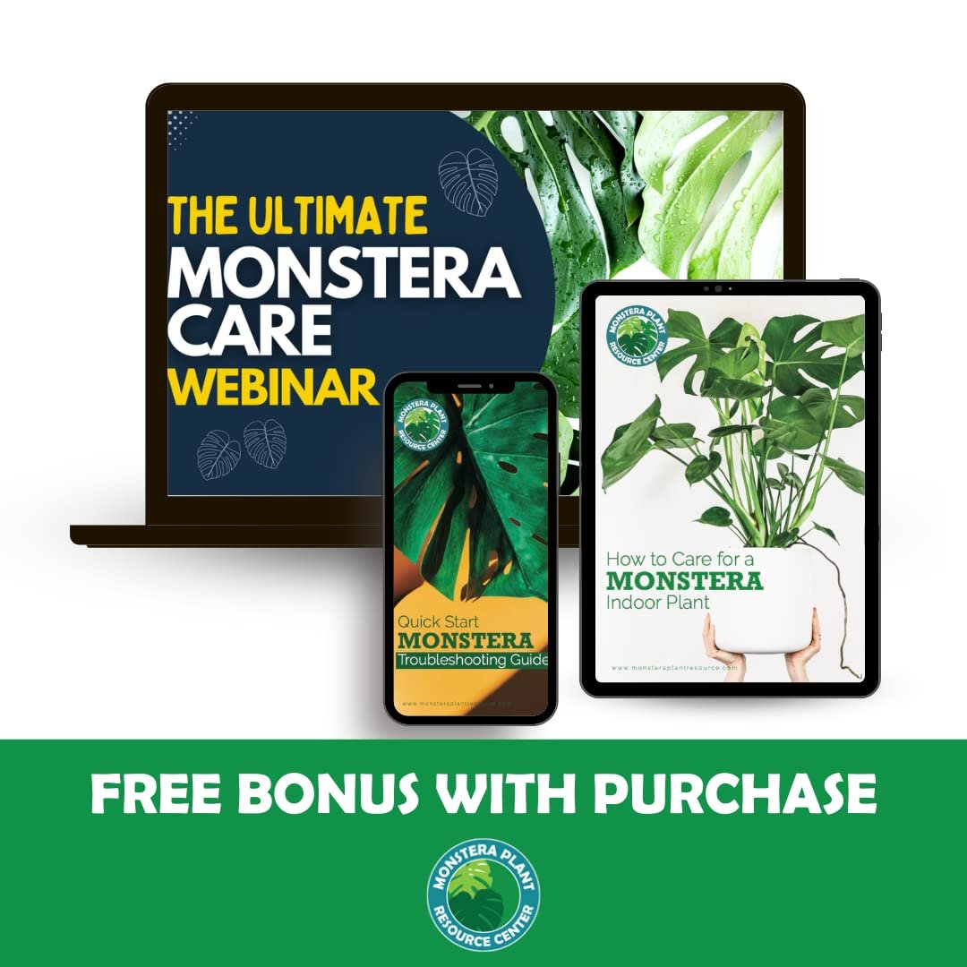 100% Organic Monstera Potting Soil Mix — Nutrient Rich, Well-Draining Living Soil Blend | 8 quarts