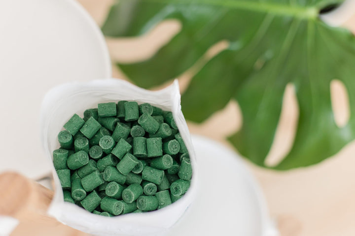 Smart Gravel Drainage Rocks for Potted Plants — Eco-Friendly Overwatering Solution | 2 lbs