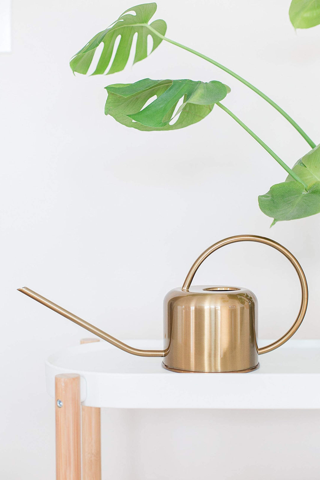 Stainless Steel Watering Can for Houseplants | 1L Capacity