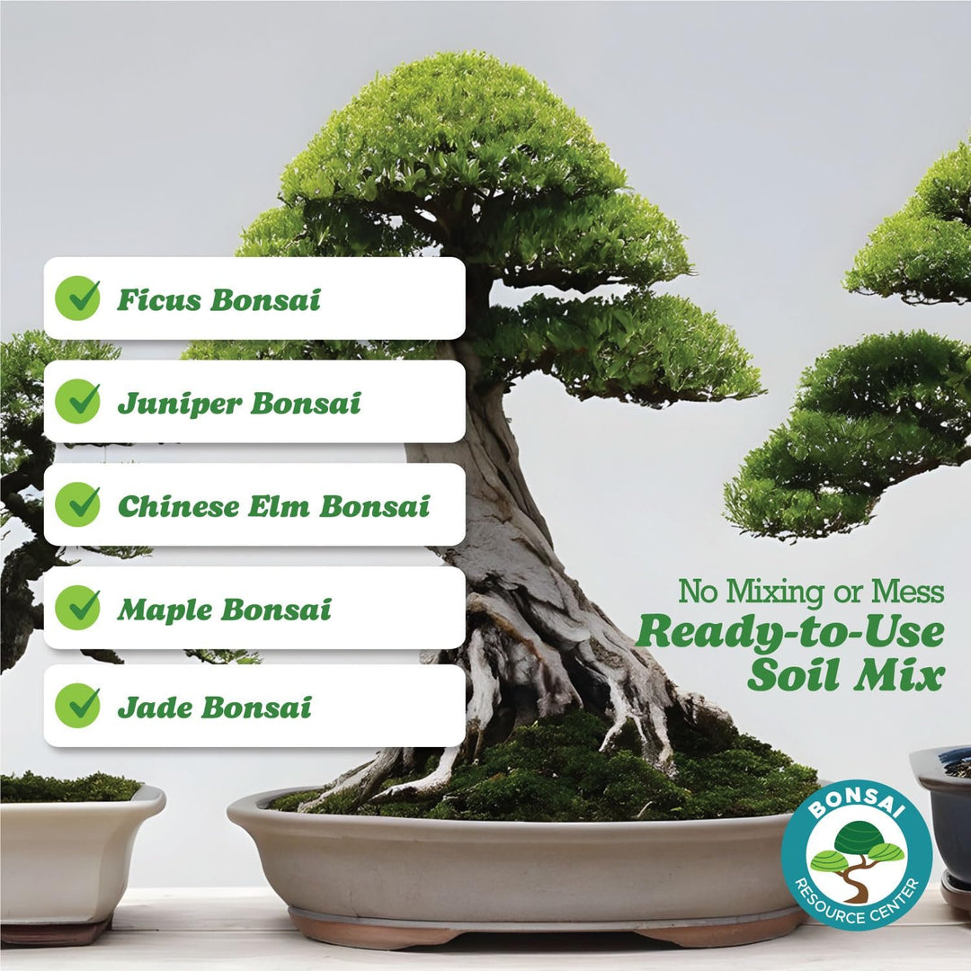 100% Organic Bonsai, Succulent, Cactus Soil Mix — Nutrient Rich, Well-Draining Living Soil Blend | 6.55 quarts
