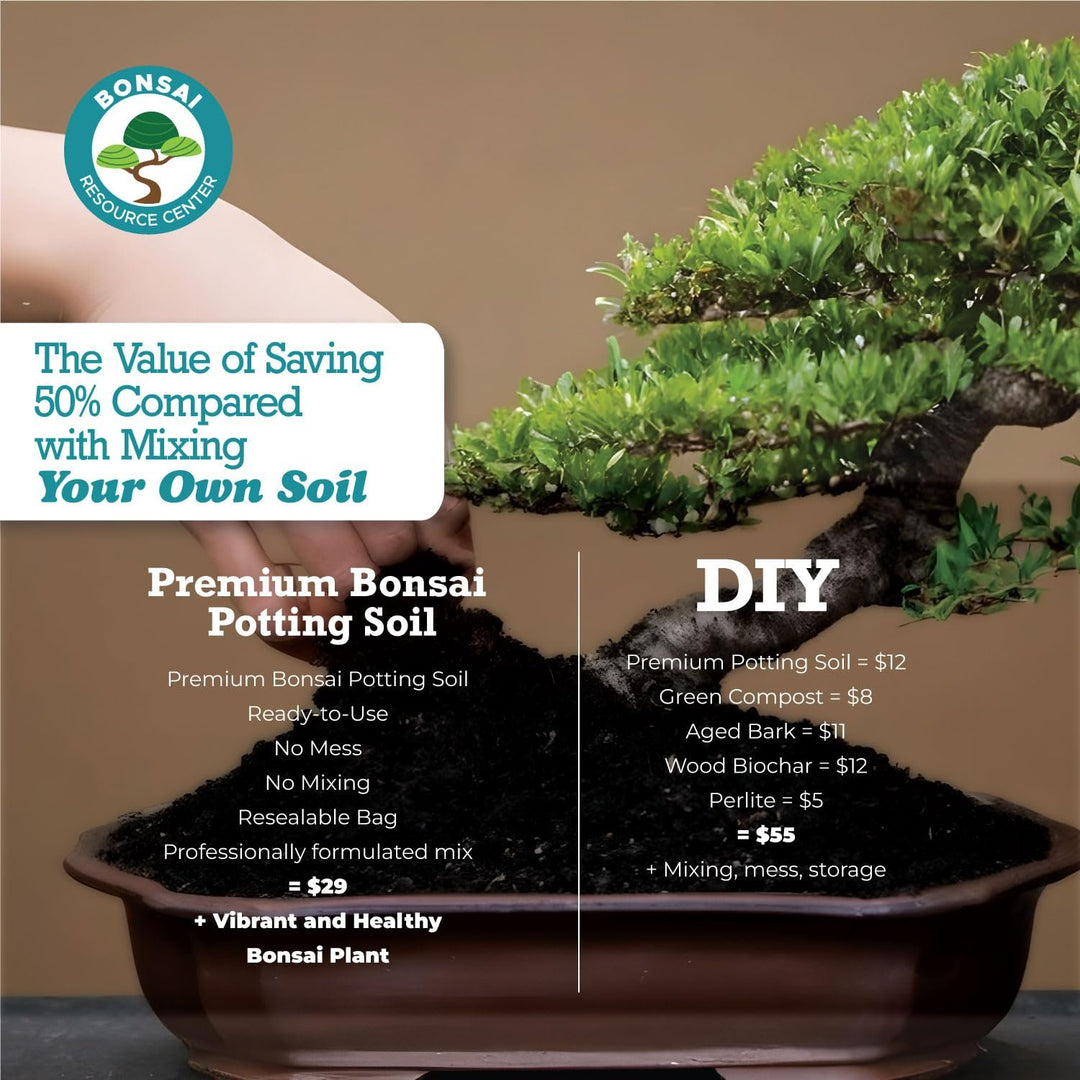 100% Organic Bonsai, Succulent, Cactus Soil Mix — Nutrient Rich, Well-Draining Living Soil Blend | 6.55 quarts