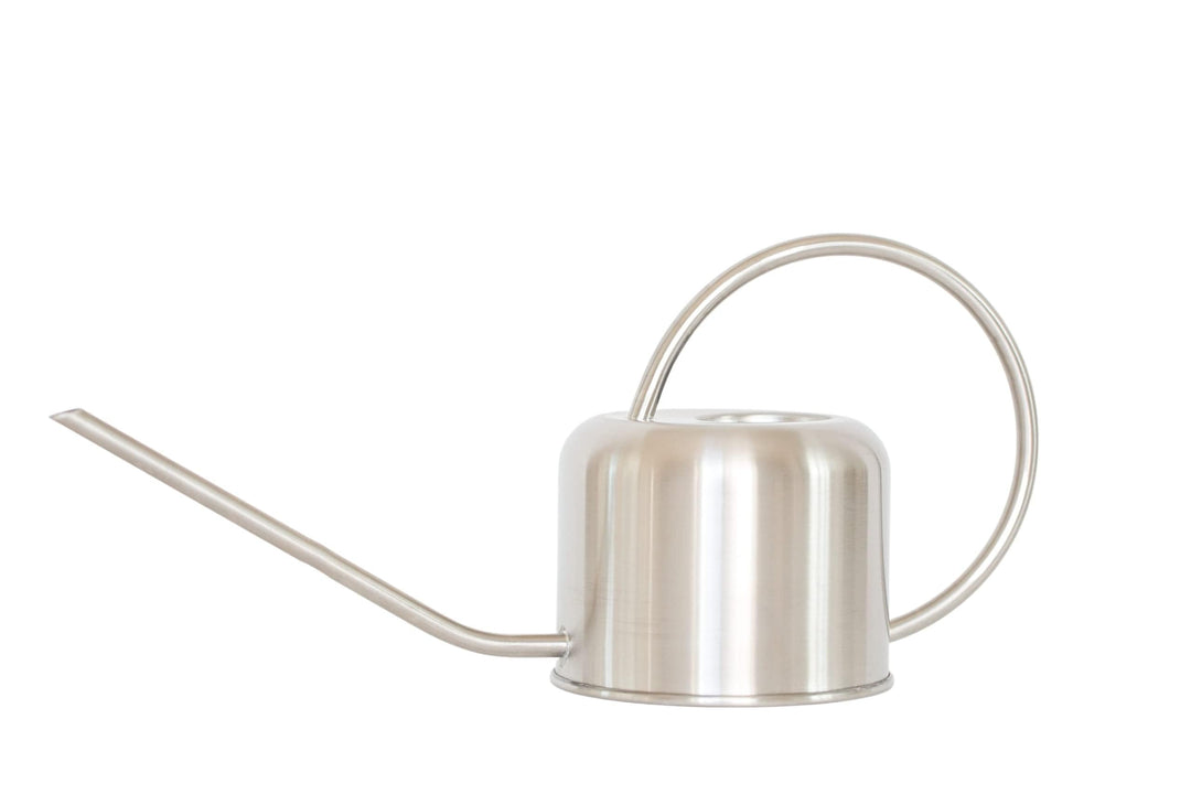 Stainless Steel Watering Can for Houseplants | 1L Capacity