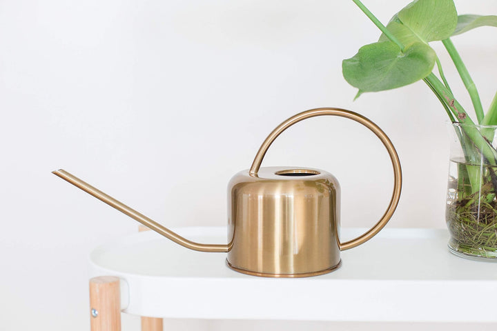 Stainless Steel Watering Can for Houseplants | 1L Capacity