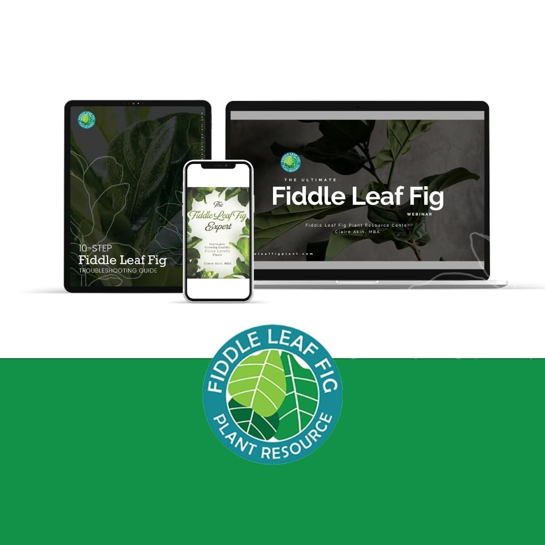 Fiddle Leaf Fig 3-in-1 Soil Meter — Measures Light, Moisture & pH for Optimal Growth | Battery-Free