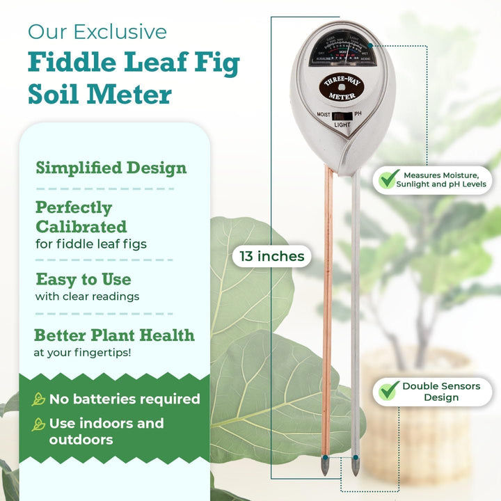Fiddle Leaf Fig 3-in-1 Soil Meter — Measures Light, Moisture & pH for Optimal Growth | Battery-Free