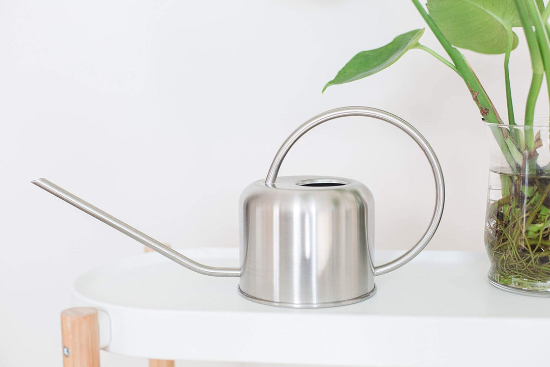 Stainless Steel Watering Can for Houseplants | 1L Capacity