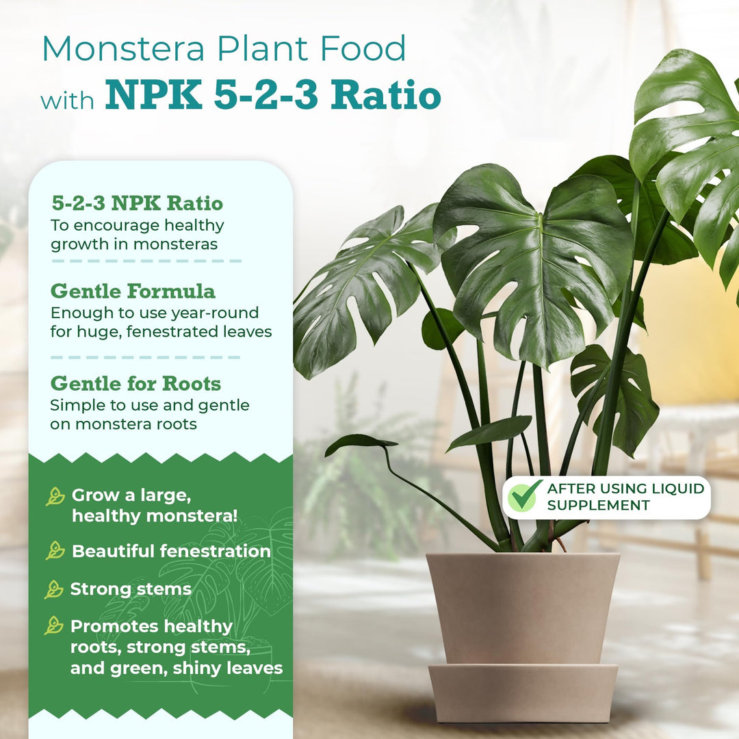 Monstera Plant Food – Enriched, Bioavailable Liquid Fertilizer | 8 oz