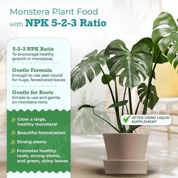 Monstera Plant Food – Enriched, Bioavailable Liquid Fertilizer | 8 oz