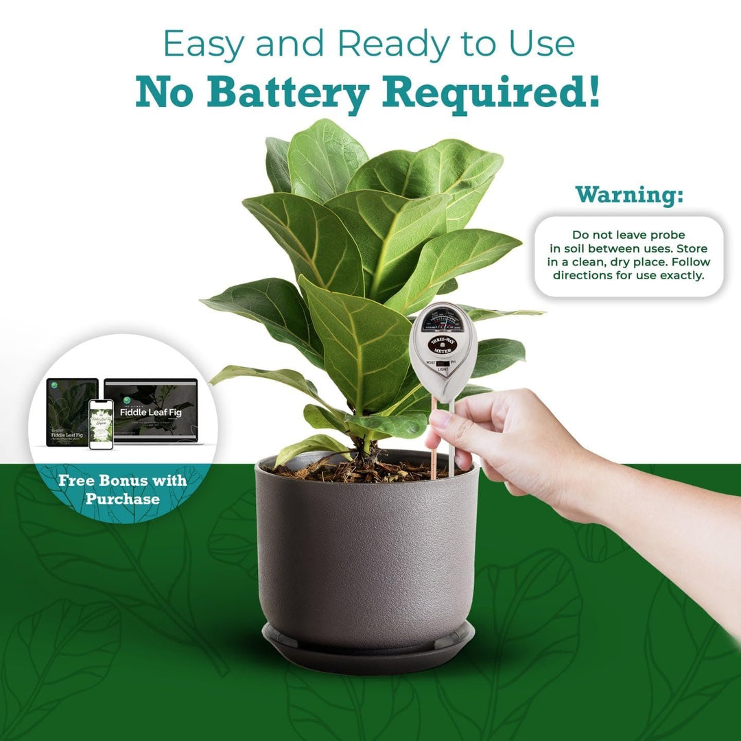Fiddle Leaf Fig 3-in-1 Soil Meter — Measures Light, Moisture & pH for Optimal Growth | Battery-Free