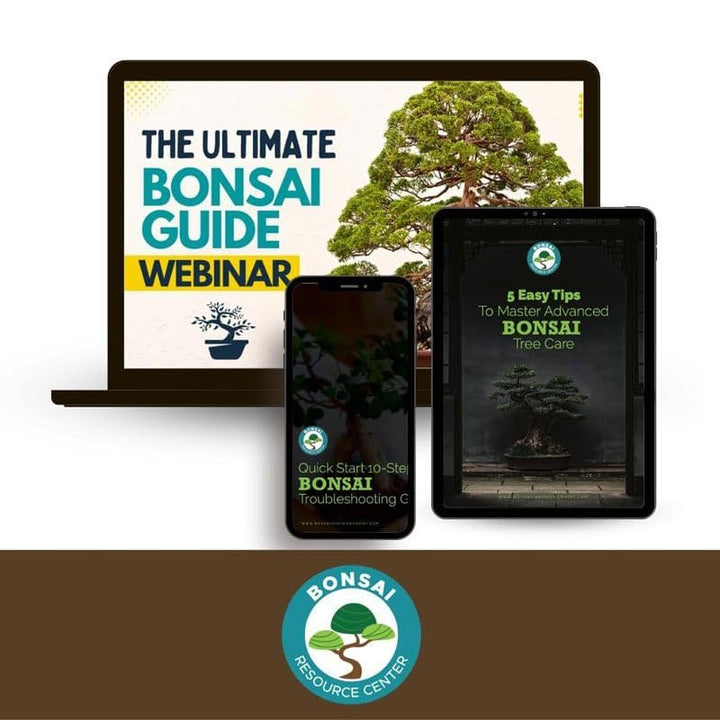 100% Organic Bonsai, Succulent, Cactus Soil Mix — Nutrient Rich, Well-Draining Living Soil Blend | 6.55 quarts