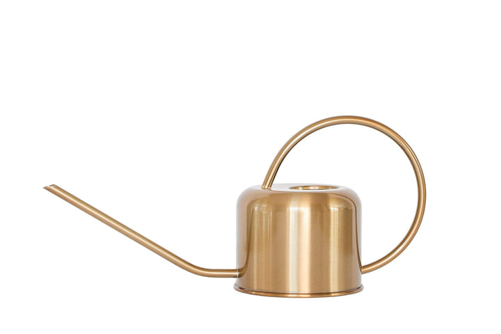 Stainless Steel Watering Can for Houseplants | 1L Capacity