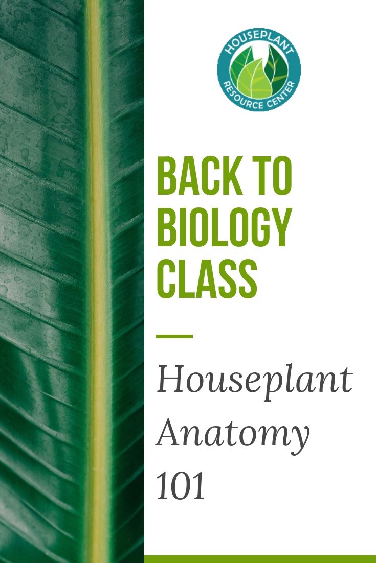 Copy of Copy of Copy of Copy of Copy of Copy of Copy of Share Webinar and Save 20 on Course