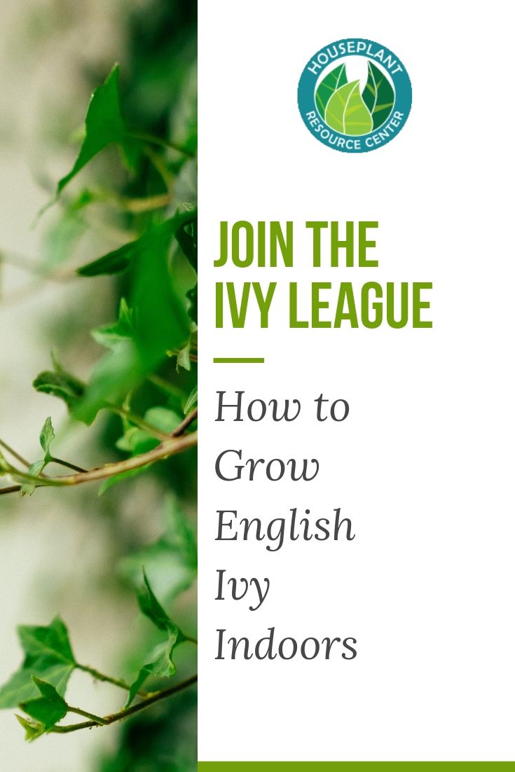 Copy of Copy of Copy of Copy of Copy of Share Webinar and Save 20 on Course