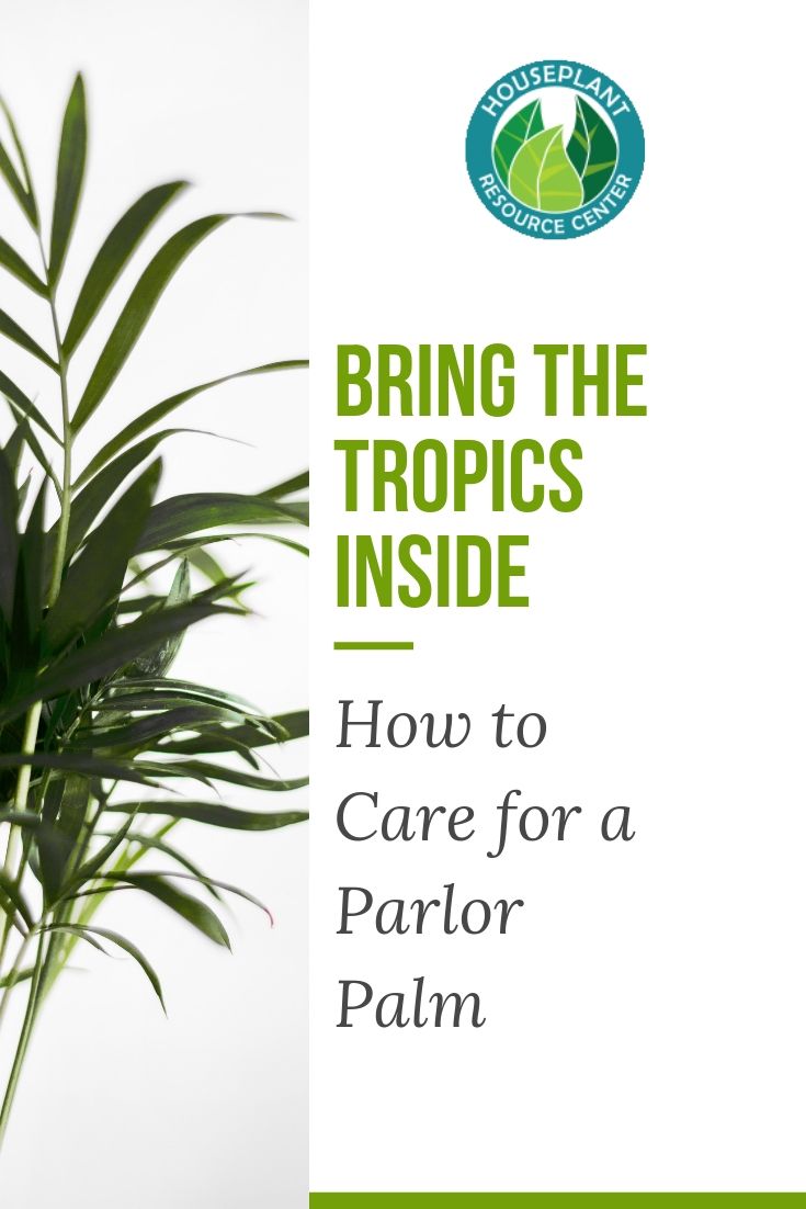 Copy of Copy of Copy of Copy of Share Webinar and Save 20 on Course