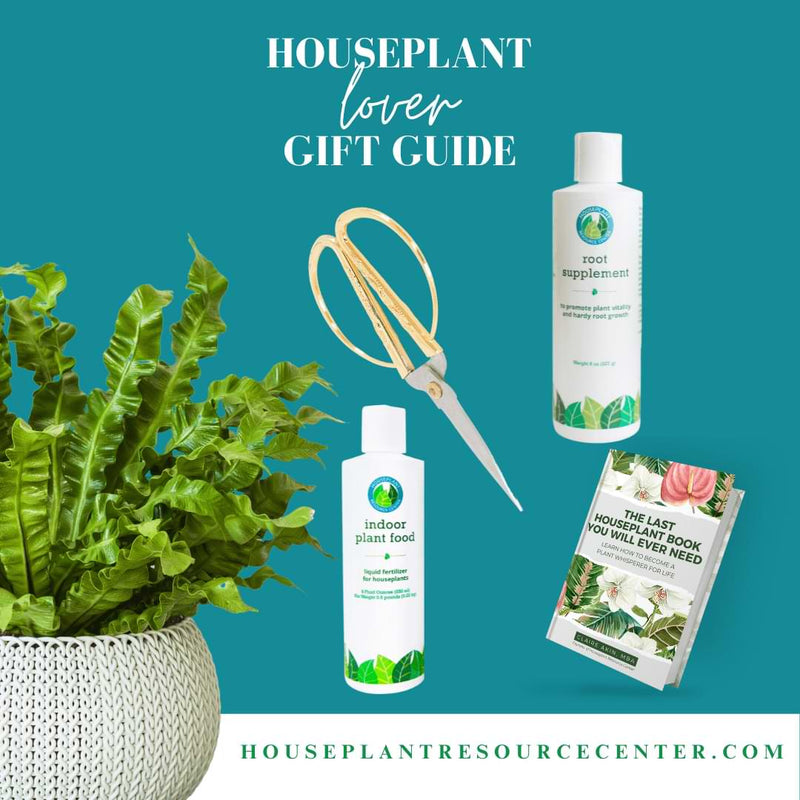 9 Holiday Houseplant Gifts Your Friends Will Love