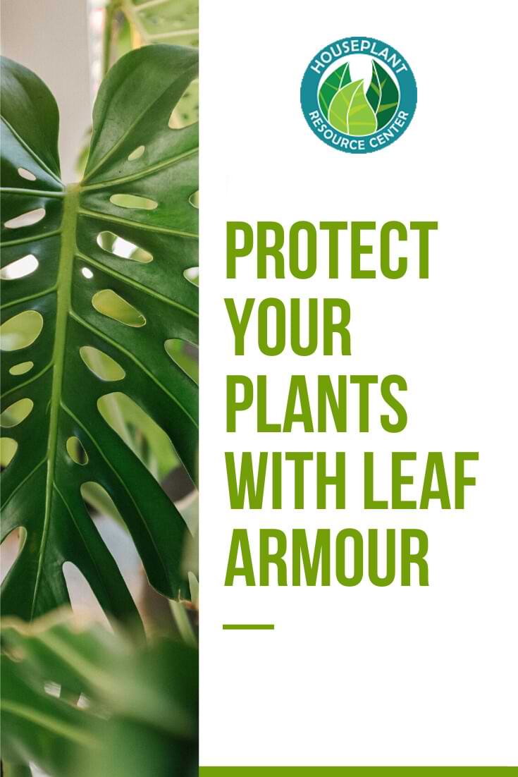Leaf Armour