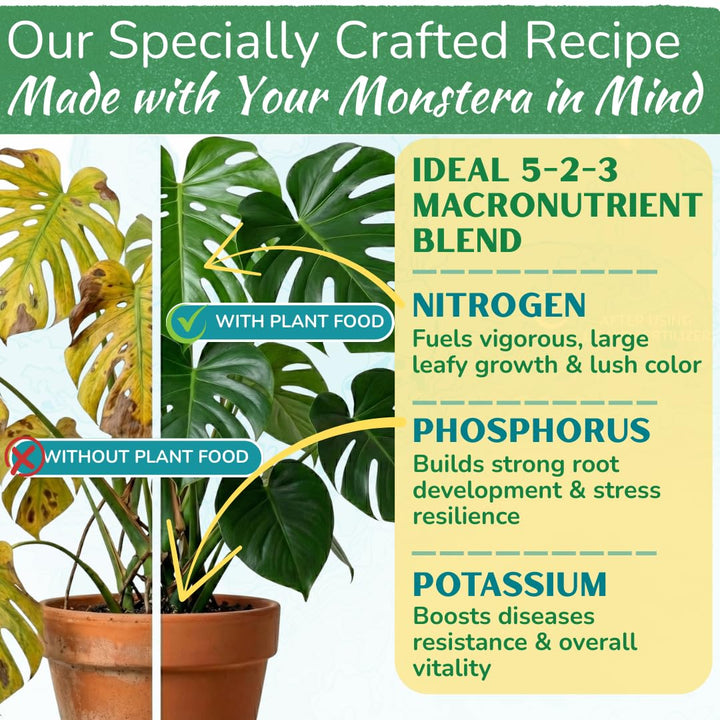 Monstera Plant Food – Enriched, Bioavailable Liquid Fertilizer | 8 oz