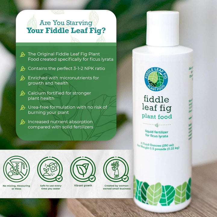 The Original Fiddle Leaf Fig Plant Food – Enriched, Bioavailable Liquid Fertilizer | 8 oz