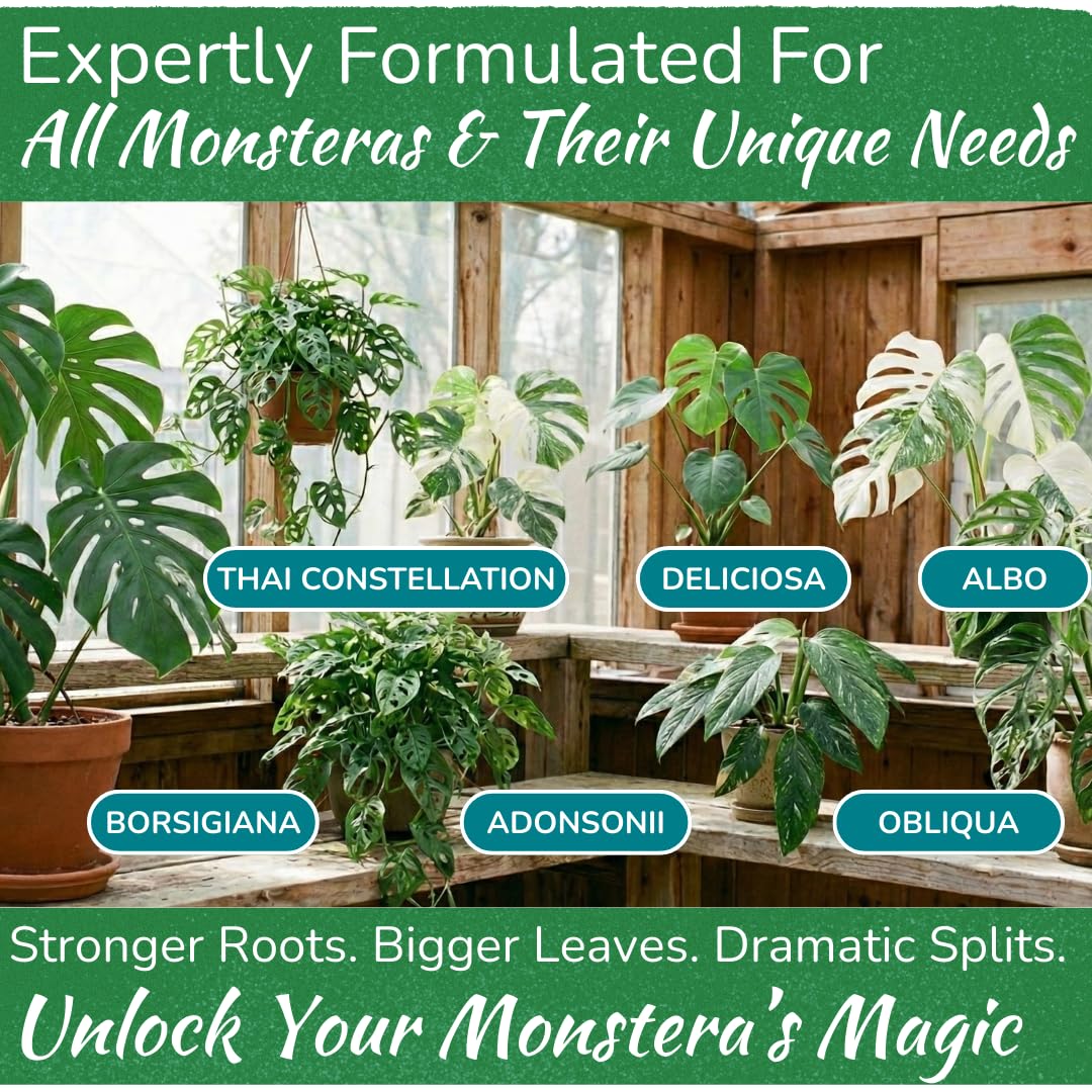 Monstera Plant Food – Enriched, Bioavailable Liquid Fertilizer | 8 oz