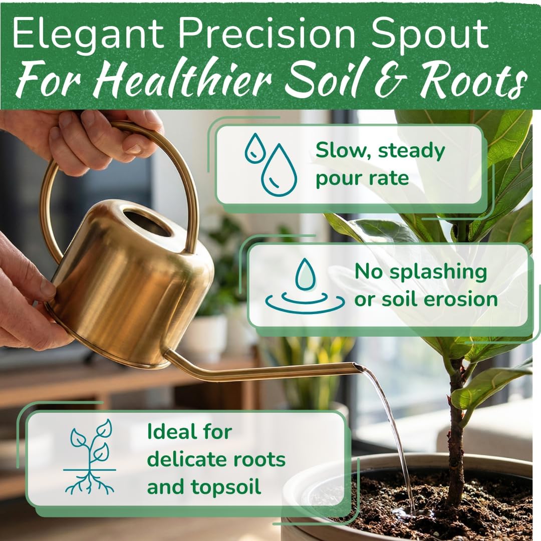 Stainless Steel Watering Can for Houseplants | 1L Capacity