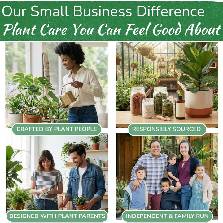 Stainless Steel Watering Can for Houseplants | 1L Capacity