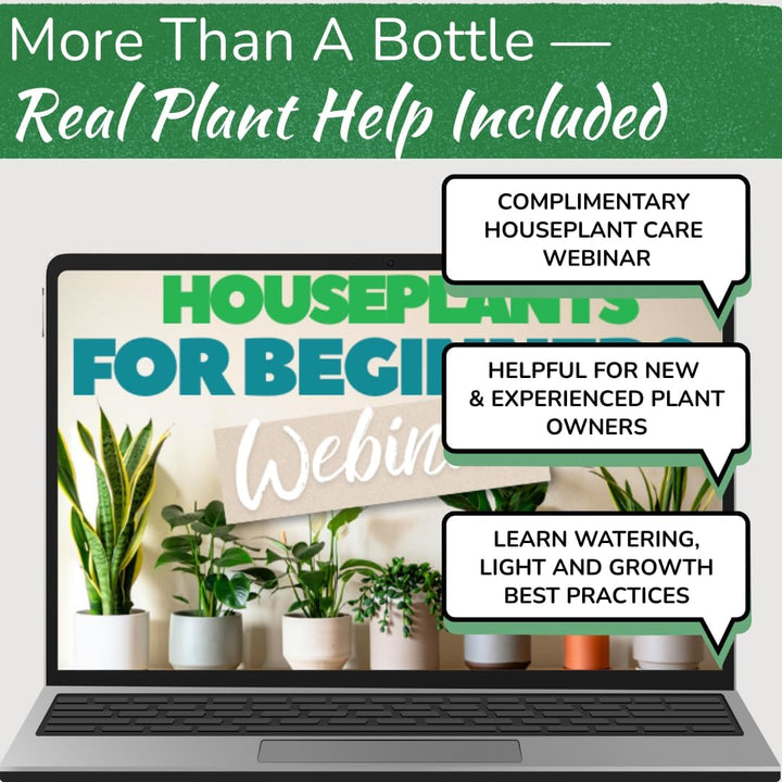 Stainless Steel Watering Can for Houseplants | 1L Capacity