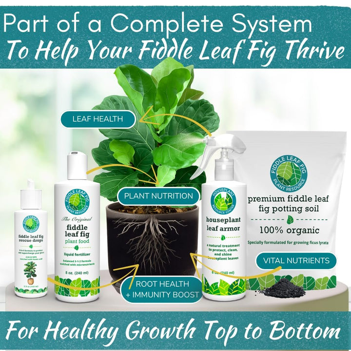 Fiddle Leaf Fig Rescue Drops — Powerful Immunity Boosting Formula | 3.3 oz