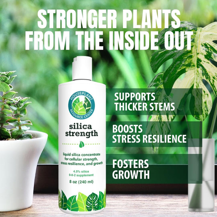 Silica Strength – Liquid Silica Supplement (4.5% Potassium Silicate) for Houseplants | Builds Stronger Stems, Healthier Leaves & Stress Resilience | 8 oz Concentrate Makes 96 Gallons