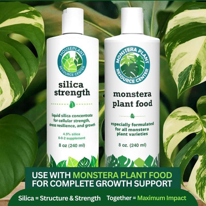 Silica Strength – Liquid Silica Supplement (4.5% Potassium Silicate) for Houseplants | Builds Stronger Stems, Healthier Leaves & Stress Resilience | 8 oz Concentrate Makes 96 Gallons