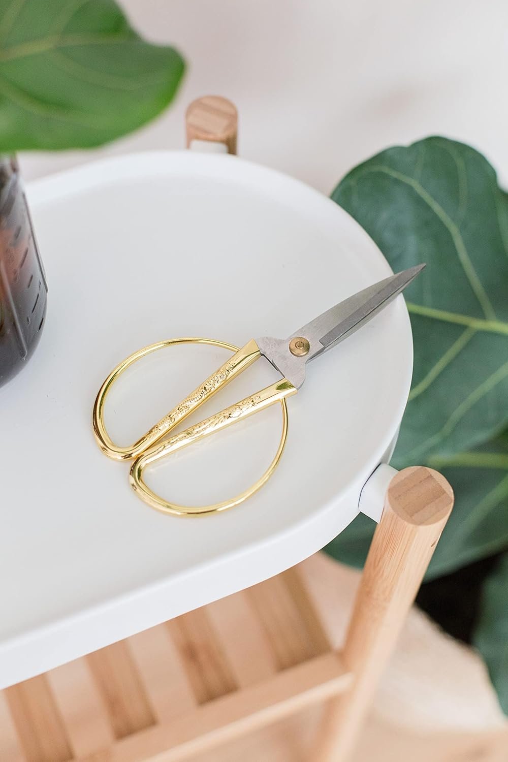 Premium Houseplant Scissors & Pruning Shears — Rust Resistant, Stainless Steel, Ultra-Precise