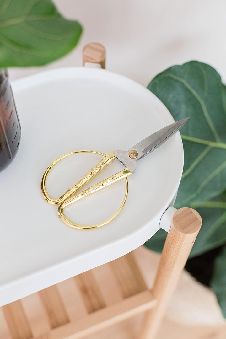 Premium Houseplant Scissors & Pruning Shears — Rust Resistant, Stainless Steel, Ultra-Precise