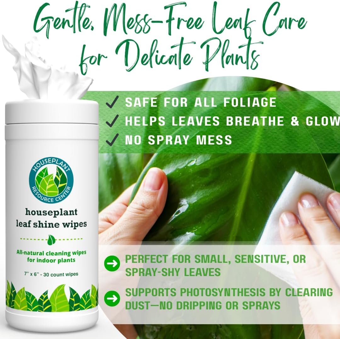 Leaf Cleaner Wipes for House Plants – Natural Leaf Polish, Gloss, and Shine | 30 count