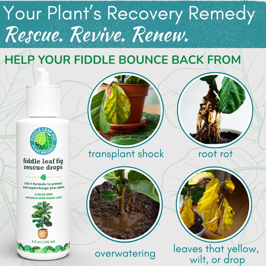 Fiddle Leaf Fig Rescue Drops — Powerful Immunity Boosting Formula | 3.3 oz