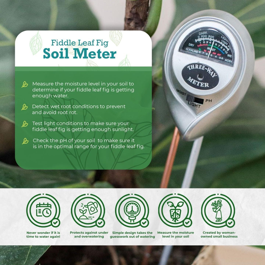 Fiddle Leaf Fig 3-in-1 Soil Meter — Measures Light, Moisture & pH for Optimal Growth | Battery-Free