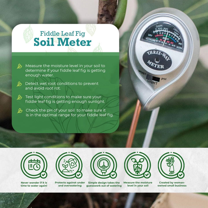 Fiddle Leaf Fig 3-in-1 Soil Meter — Measures Light, Moisture & pH for Optimal Growth | Battery-Free