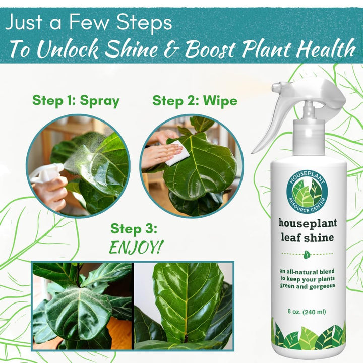 Leaf Shine Spray – Natural Leaf Polish, Gloss, and Shine | 8 oz