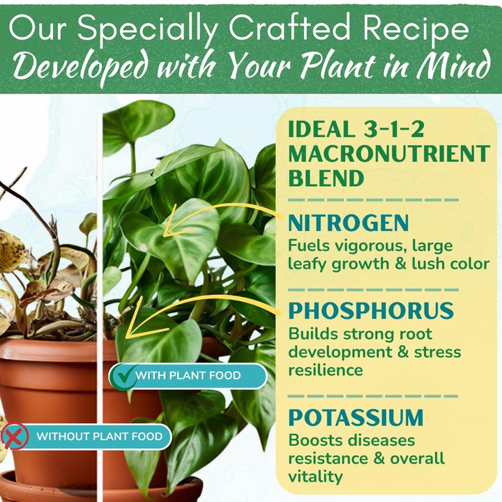 Indoor Plant Food - Versatile, Bioavailable Liquid Fertilizer | 8 oz