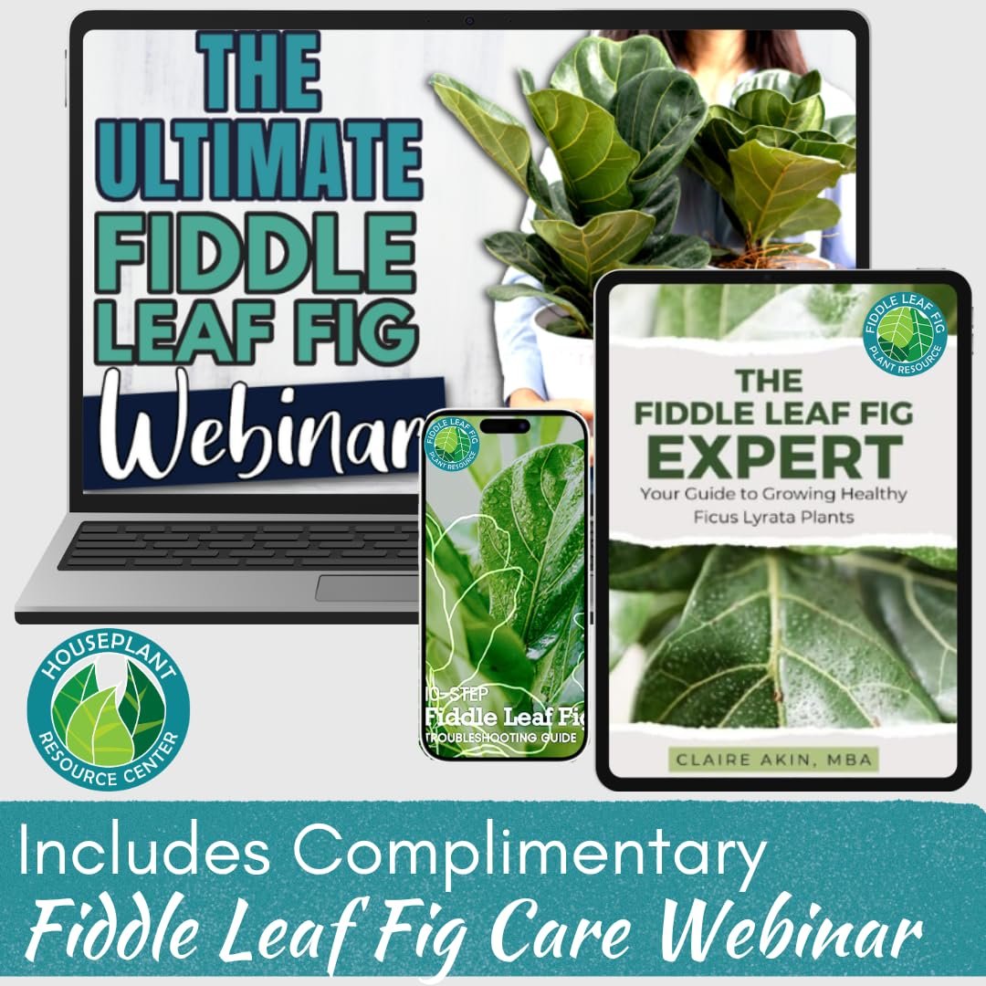 Fiddle Leaf Fig Plant Food – 3‑1‑2 Balanced NPK Liquid Fertilizer for Larger Leaves, Stronger Roots & Steady, Vibrant Growth | Suitable for All Ficus Including Ficus Lyrata | Made in USA | 8 oz