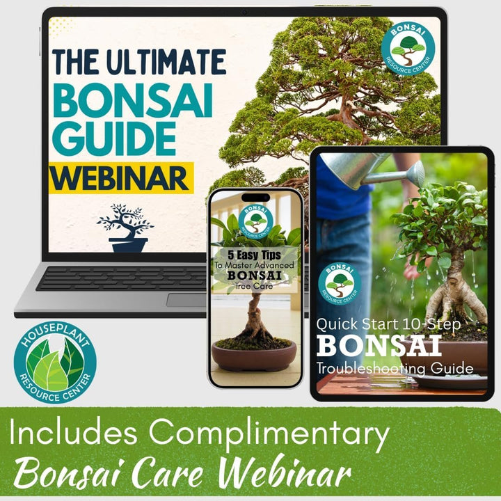 Bonsai Tree Food – Enriched, Bioavailable Liquid Fertilizer | 8 oz