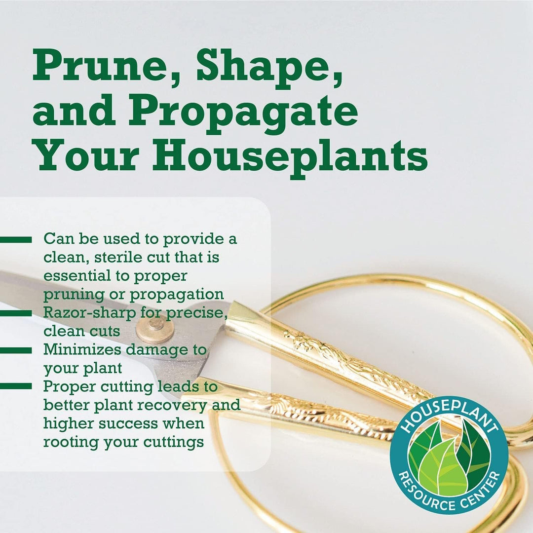 Premium Houseplant Scissors & Pruning Shears — Rust Resistant, Stainless Steel, Ultra-Precise