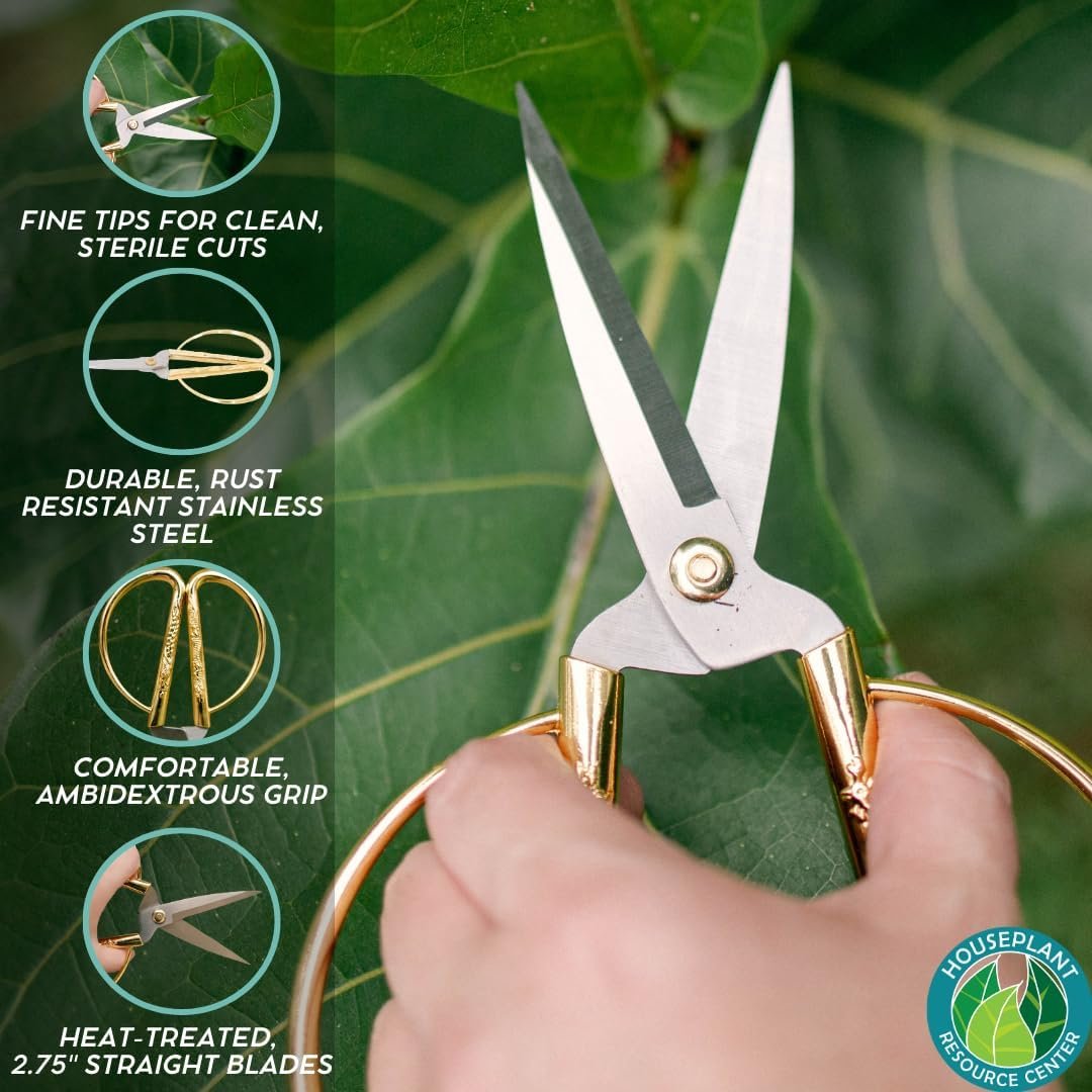 Premium Houseplant Scissors & Pruning Shears — Rust Resistant, Stainless Steel, Ultra-Precise