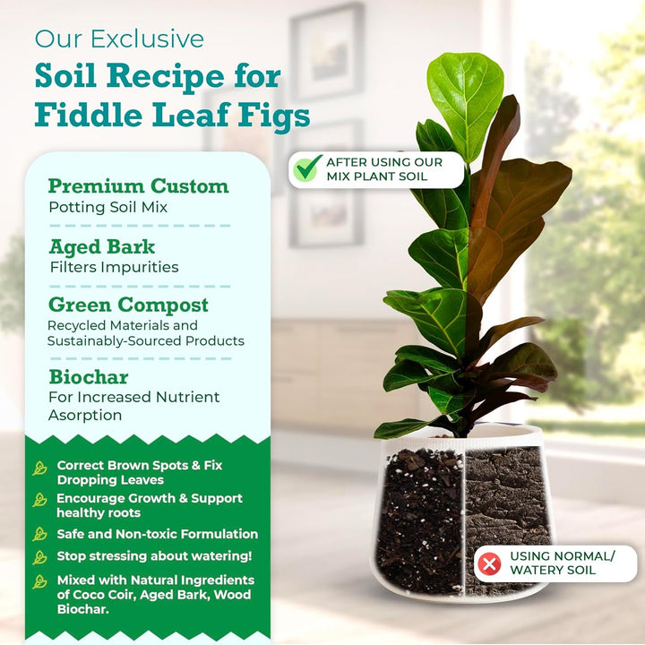 100% Organic Fiddle Leaf Fig Potting Soil Mix — Nutrient Rich, Well-Draining Living Soil Blend | 8 quarts